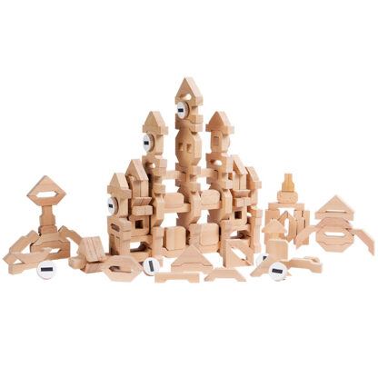 Montessori Future Builders Blocks